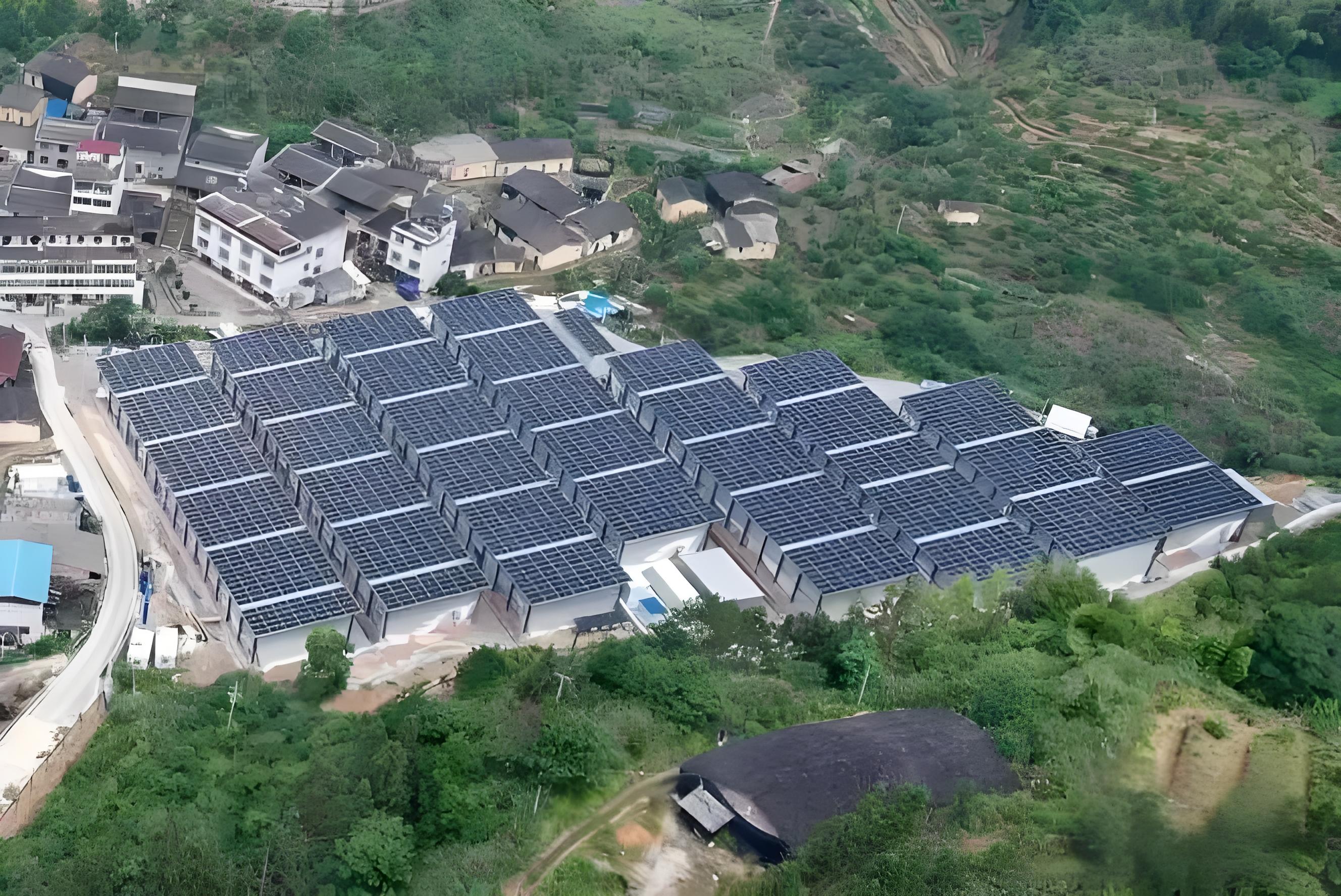 光伏板下种银耳，这个村子找到致富新路