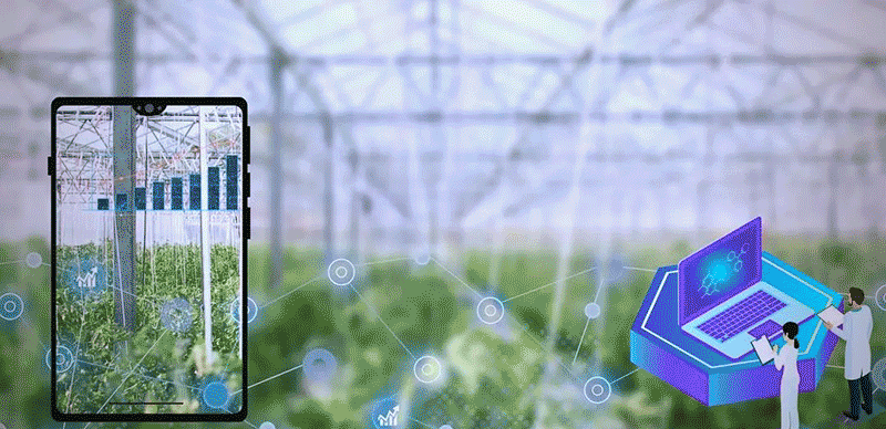 广西智慧农业&ldquo;五大体系&rdquo;落地，明年智博会推动中国&mdash;东盟技术标准衔接