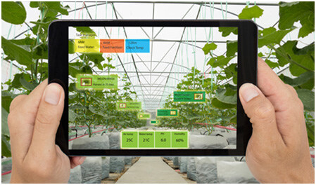 村田三合一土壤传感器:科技赋能精准农业新实践