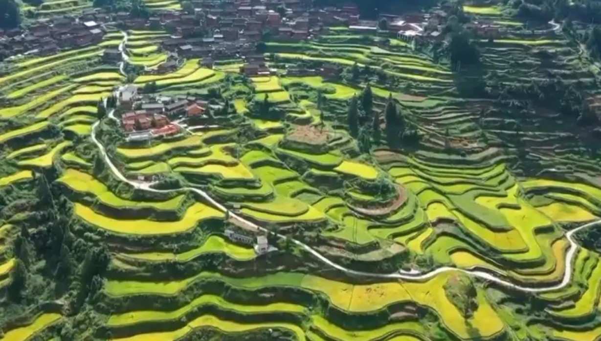 中国式农业农村现代化：从&ldquo;十四五&rdquo;成就看农业强国之路