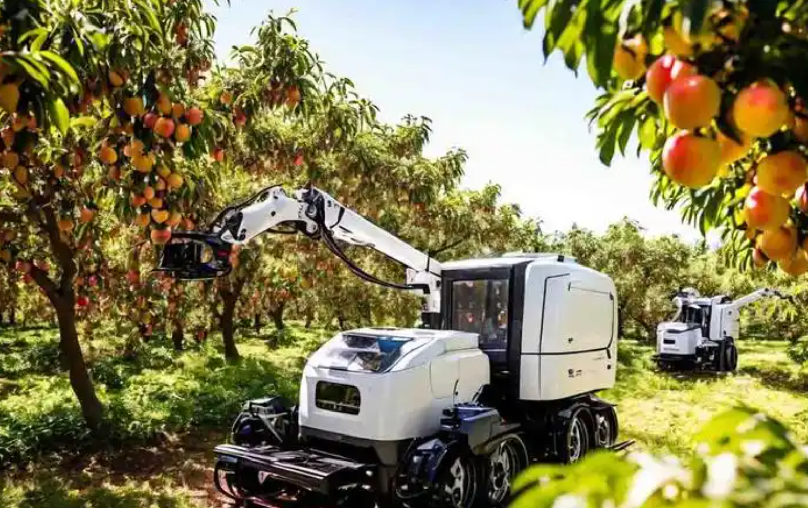 AI如何赋能果蔬采摘?智慧农业中的效率革命与落地实践