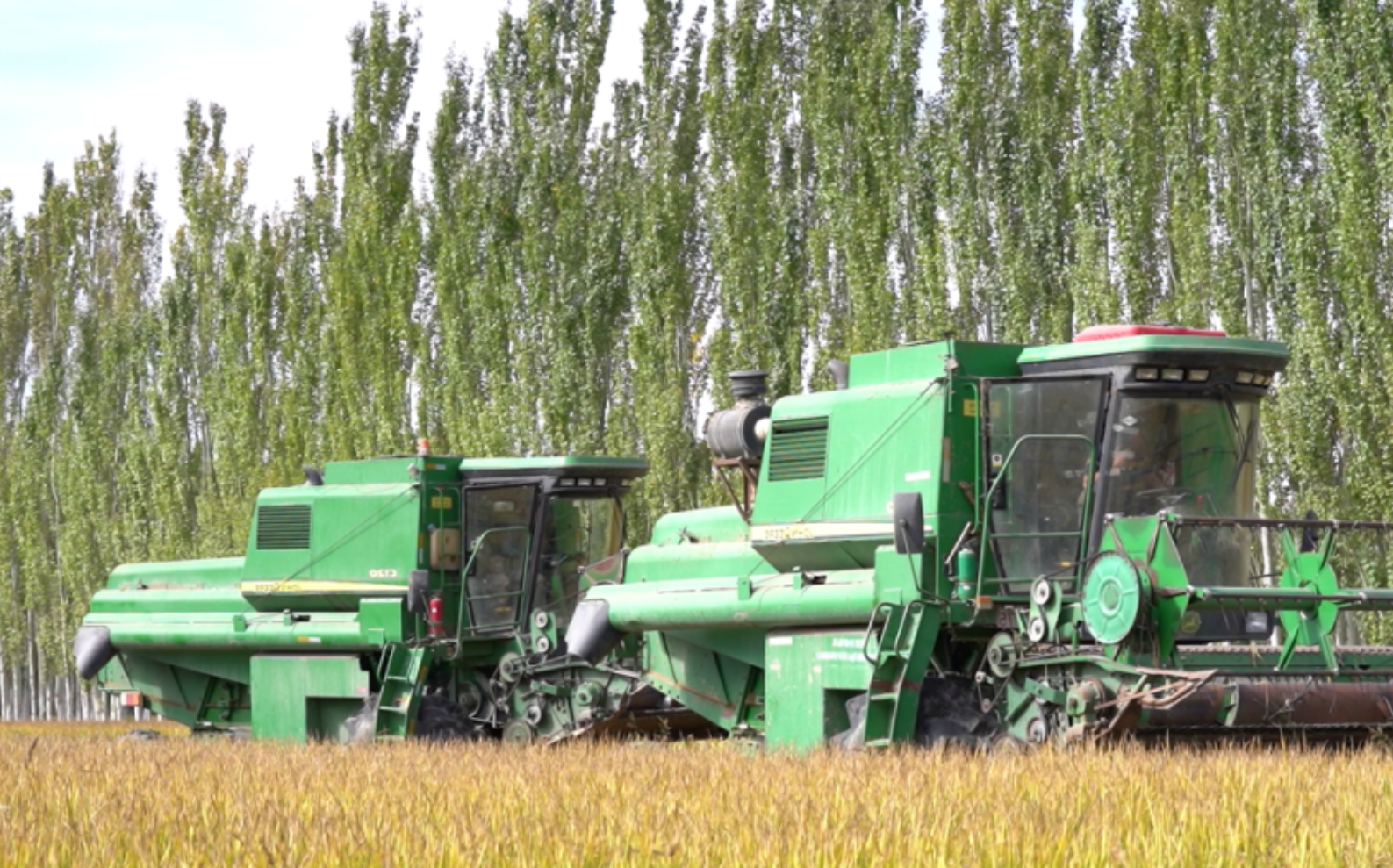 温宿县托乎拉乡水稻 2025 年机械化覆盖率 98% 科技赋能破解 “种得好” 难题