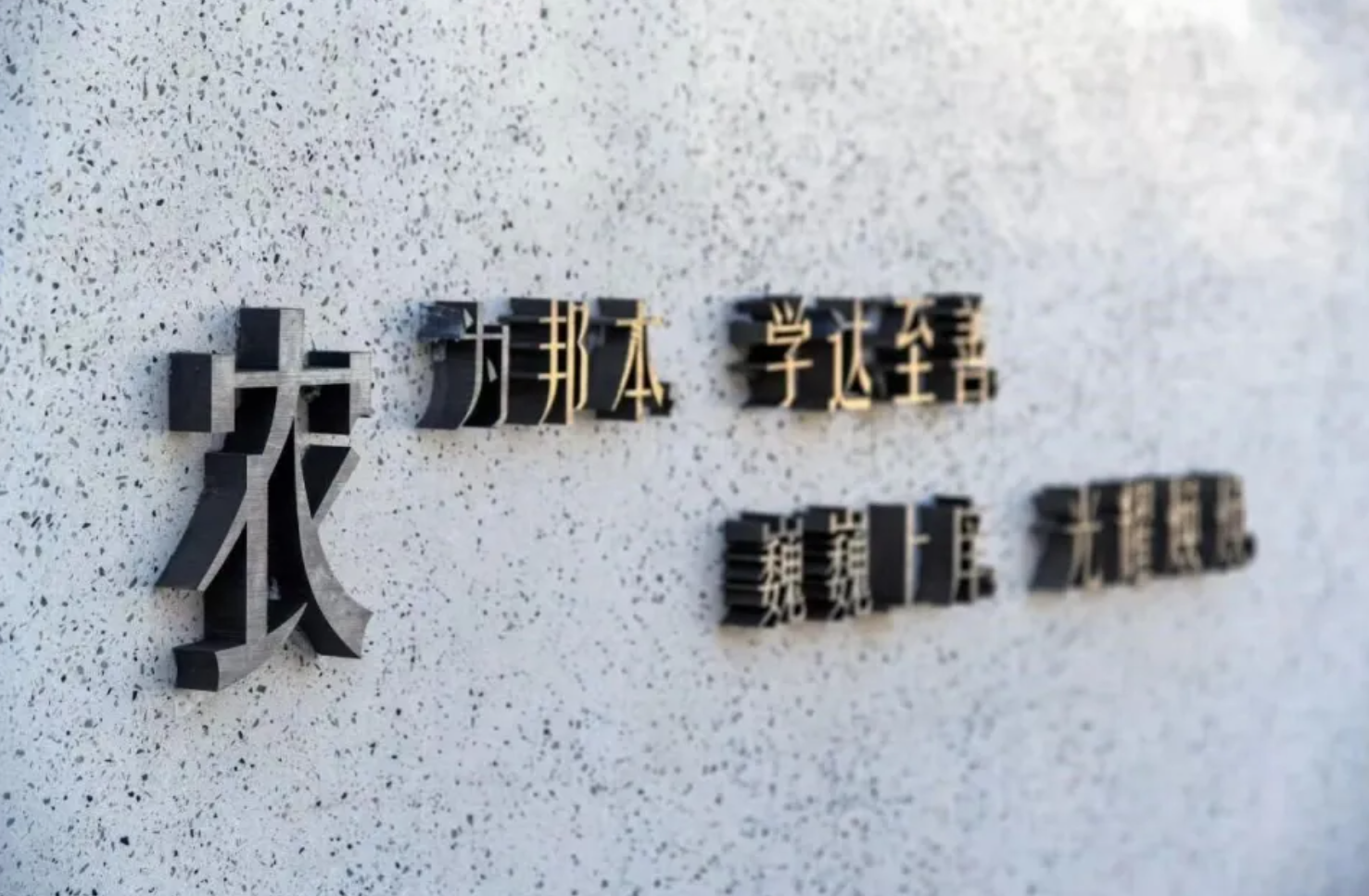 双甲风华映农心:中国农大以科技与担当绘就兴农新篇