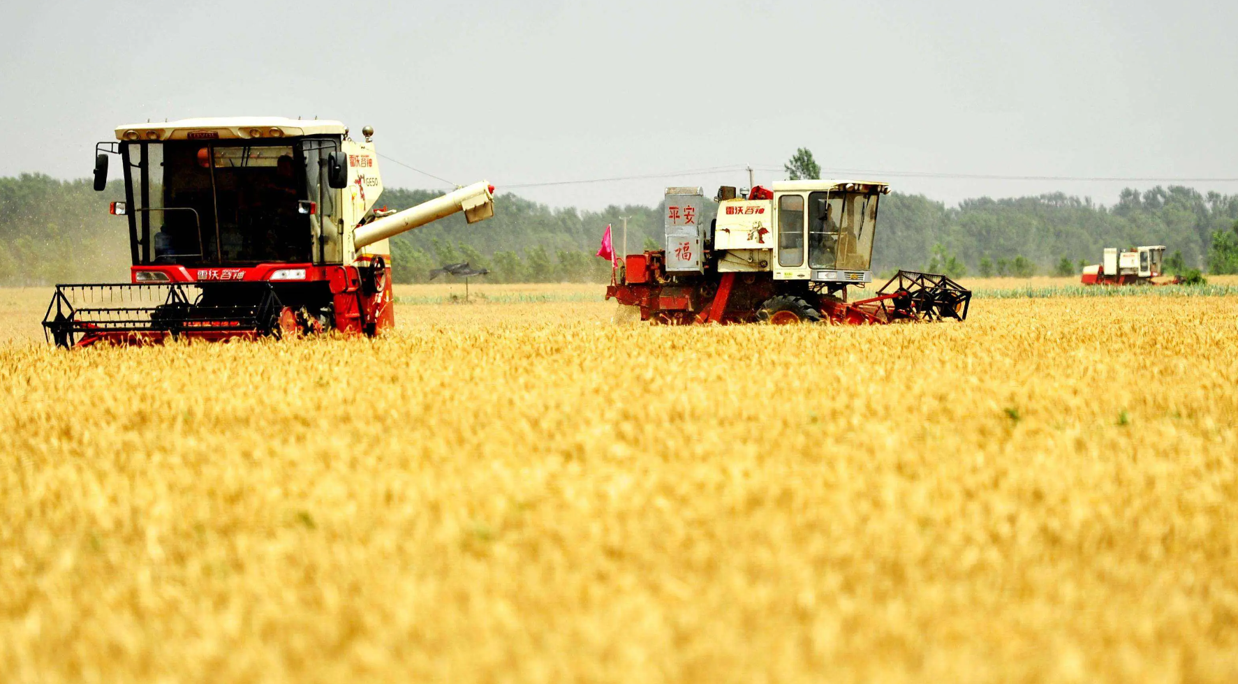 从田间到粮仓:科技如何为秋收减损降耗注入新动能