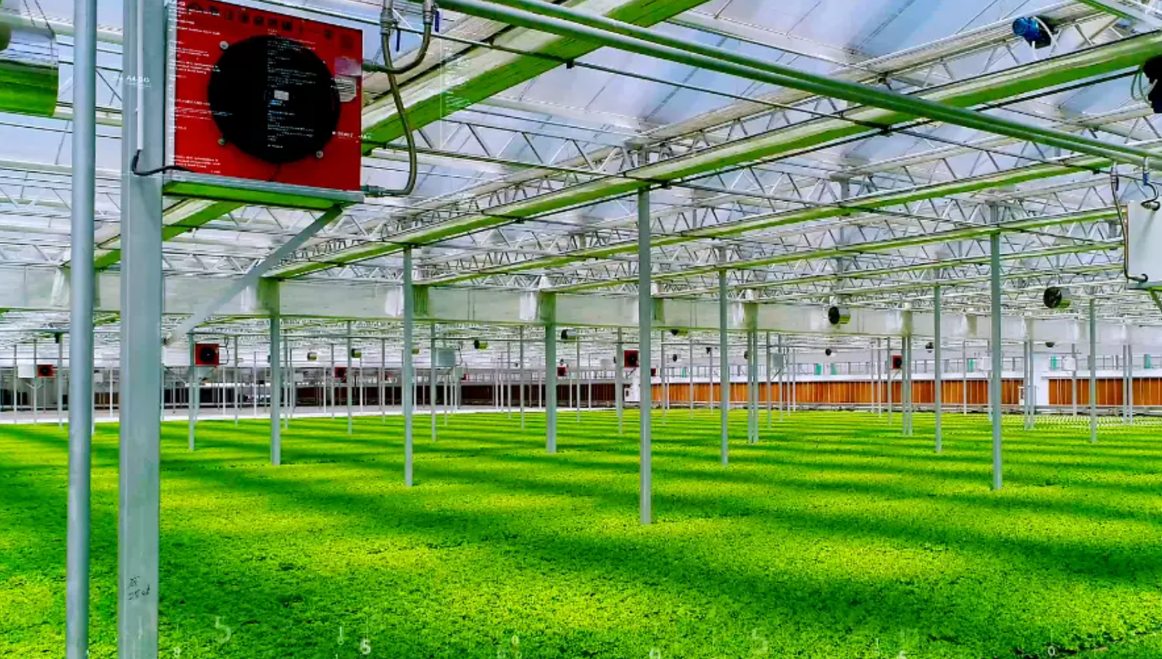 智慧农业新范式：潢川&ldquo;天空农场&rdquo;如何破解耕地与产能困局