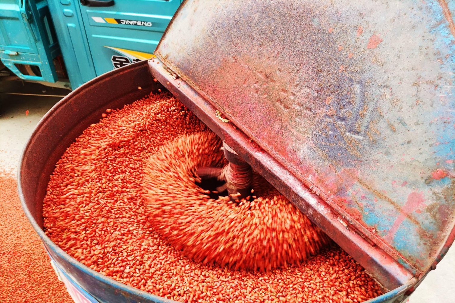 秋冬种小麦茎基腐病和纹枯病用什么药剂拌种效果最好?