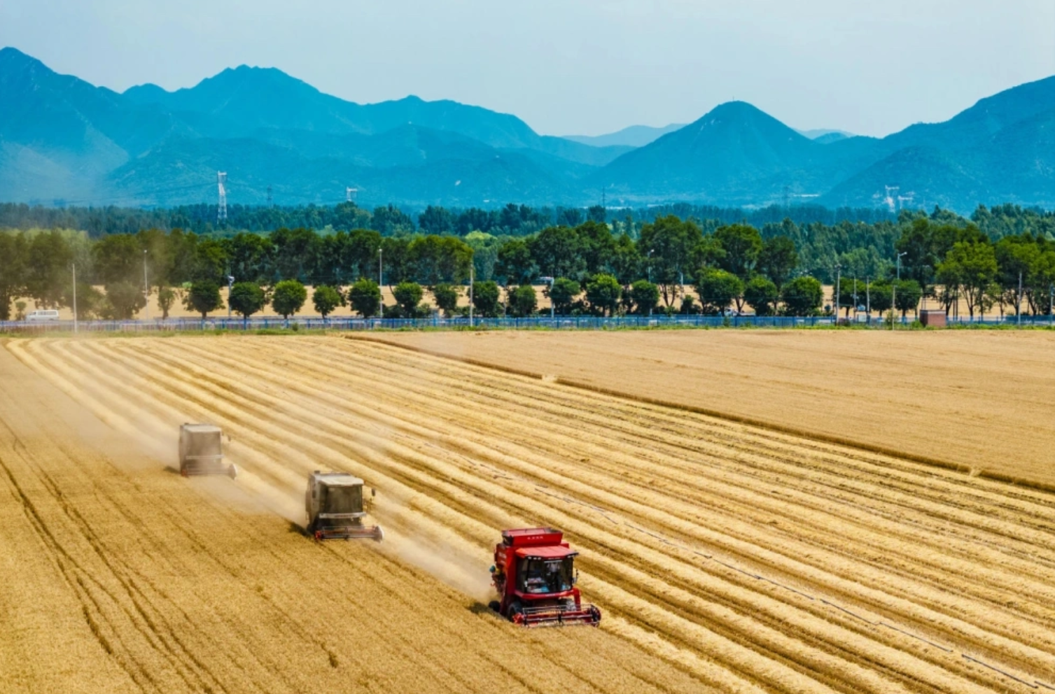 2025年前三季度农业经济稳中向好粮食丰收在望