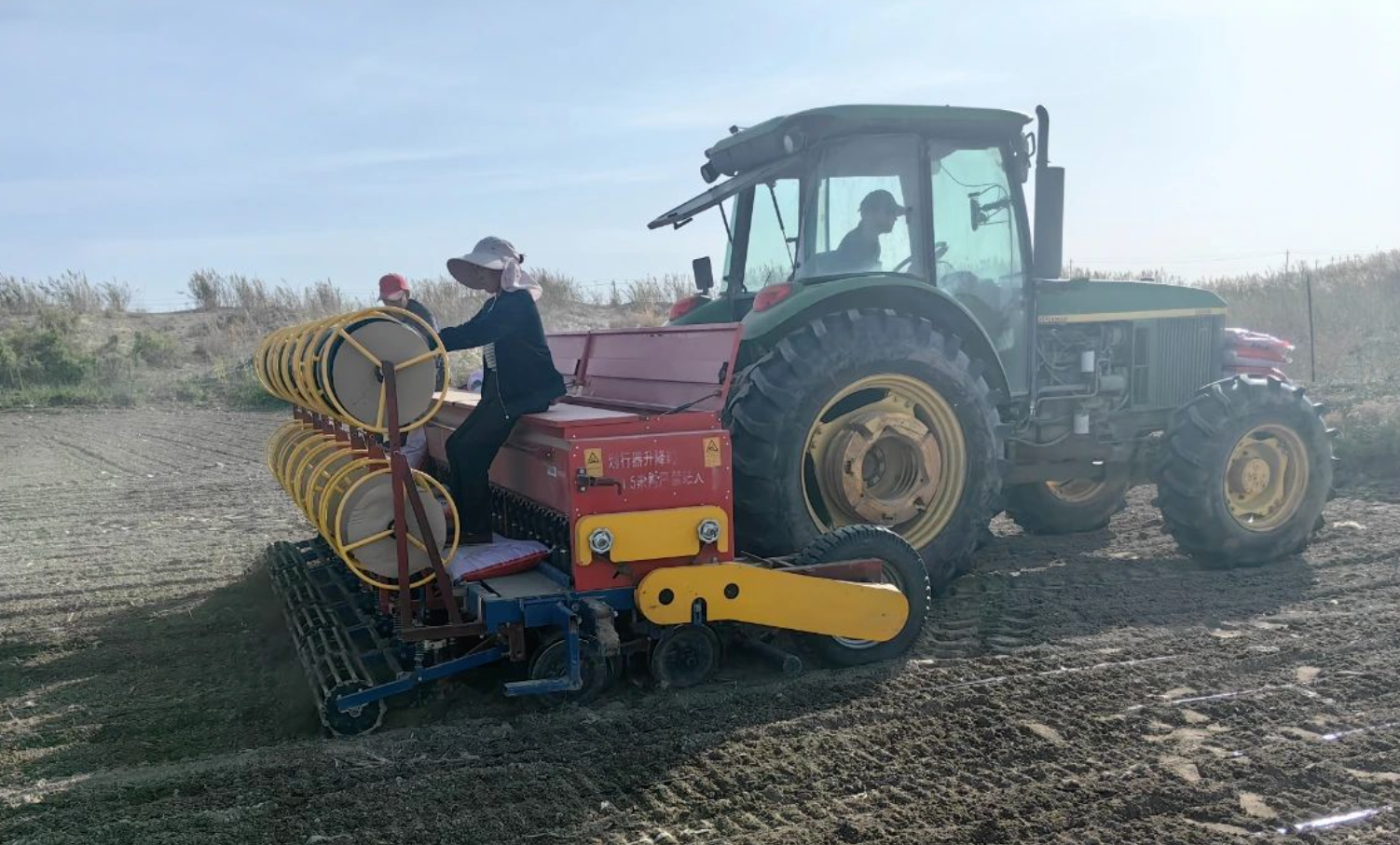 壤湿涝情况下,小麦整地播种需要注意哪些要点?