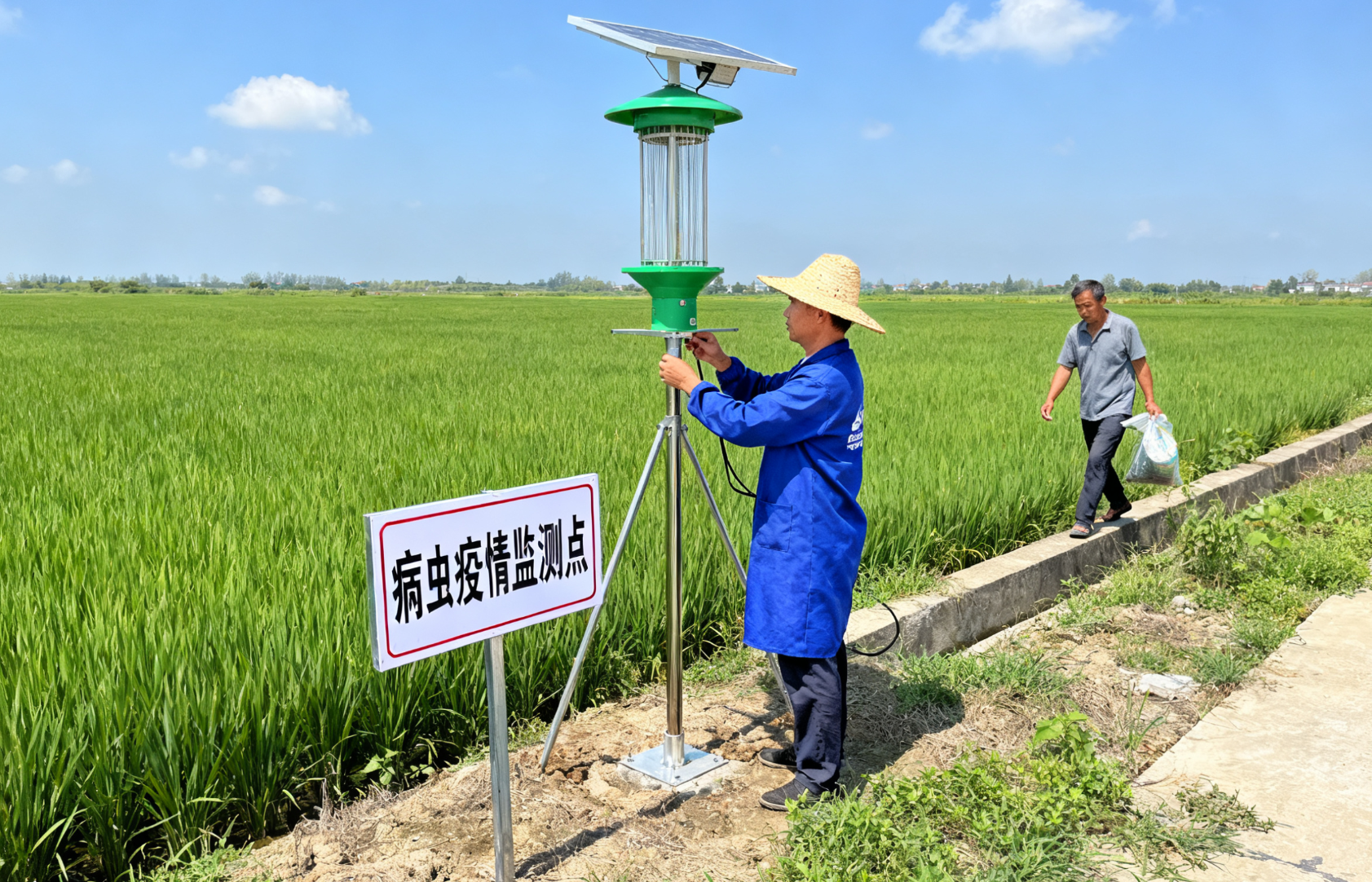 植保员培训：农村病虫疫情监测点的兼职植保员有哪些培训和补助政策？