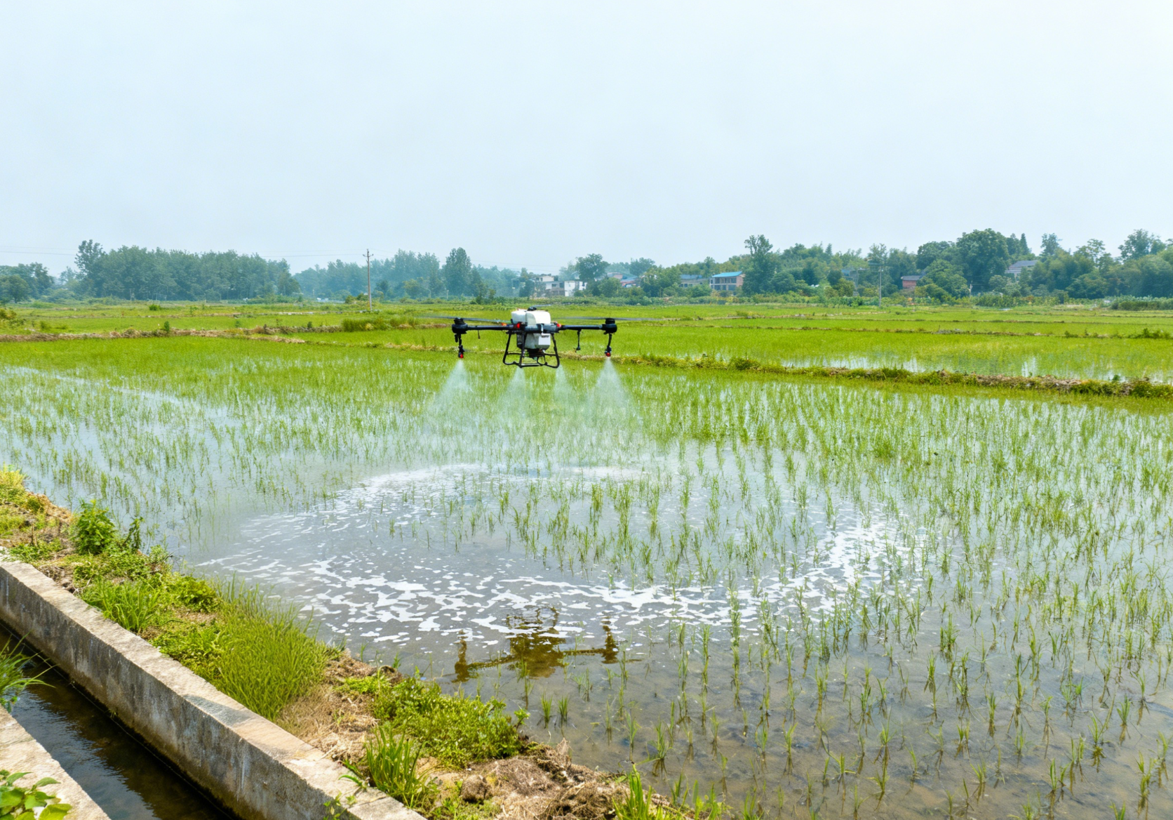 恶性杂草防除：农田恶性禾本科杂草有哪些轻简化综合防控技术？