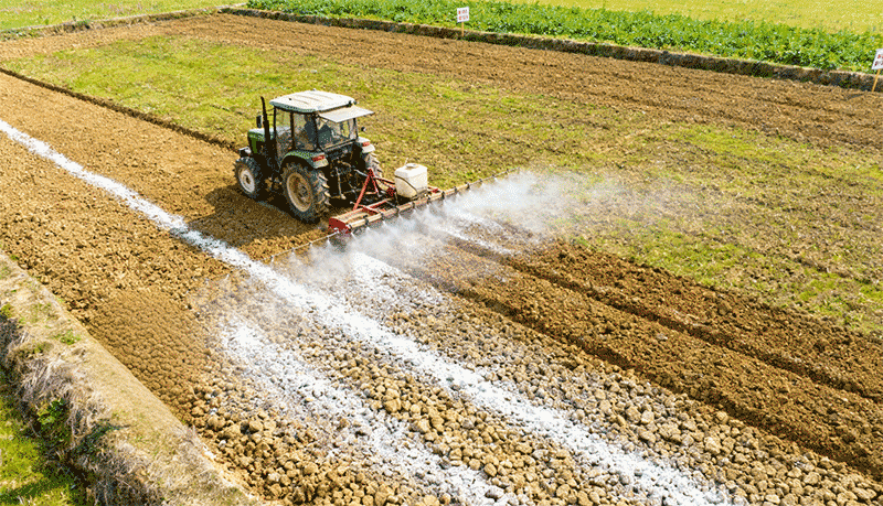 秋播油菜根肿病零发生:种子处理三步法封杀恶性杂草与病原