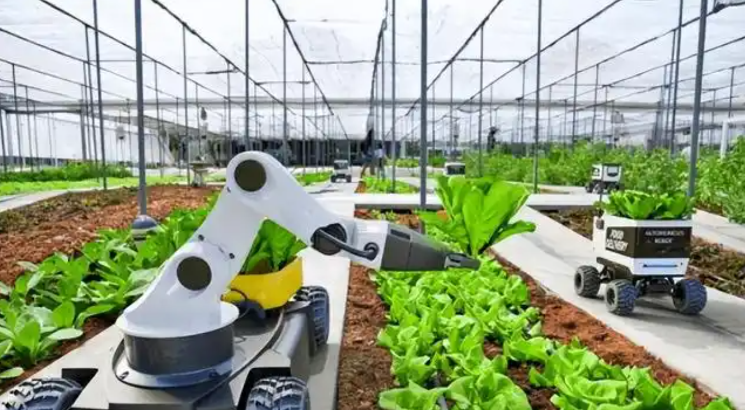 AI 下田将重塑中国农业:智能育种缩周期 无人农场提效率 政策保驾护航