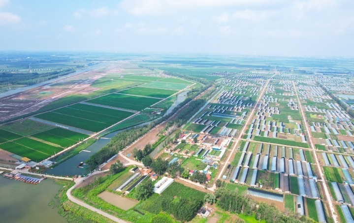 天津西青区农文旅融合实践 乡村振兴的三种创新路径