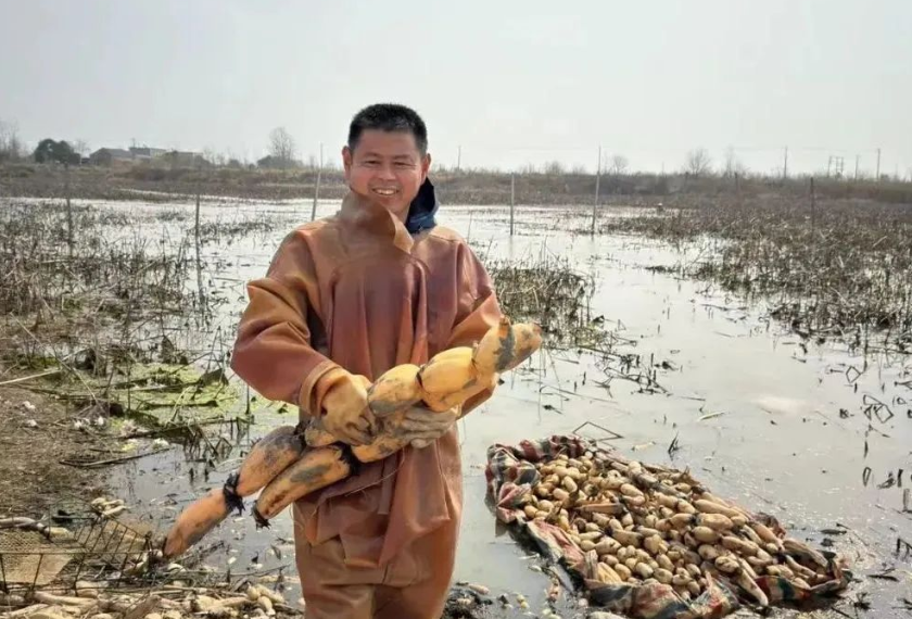 他曾是工地上的扎筋工，如今让家乡荒地里长出“金奖”藕粉