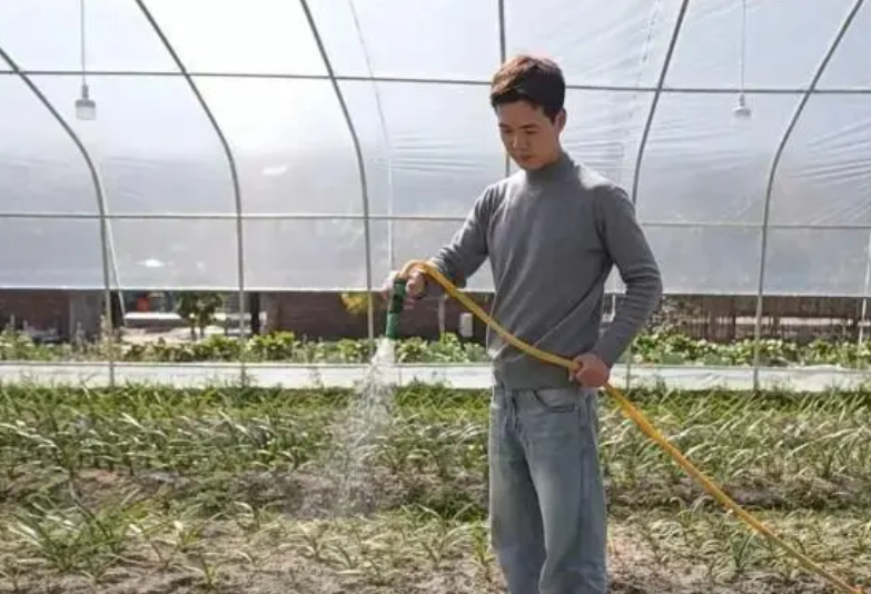 从城市回归田园,这群“新农人”把家乡种成诗和远方