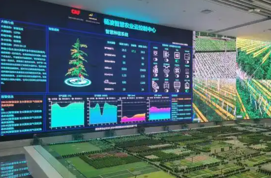 智慧农业破解旱区困局：杨凌农高会展示&ldquo;无水养鱼、工厂种菜&rdquo;新技术