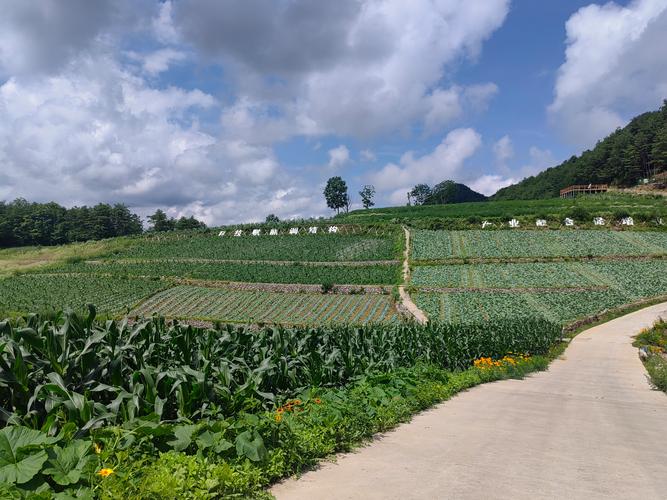 屏南：以生态智慧绘就乡村振兴新画卷