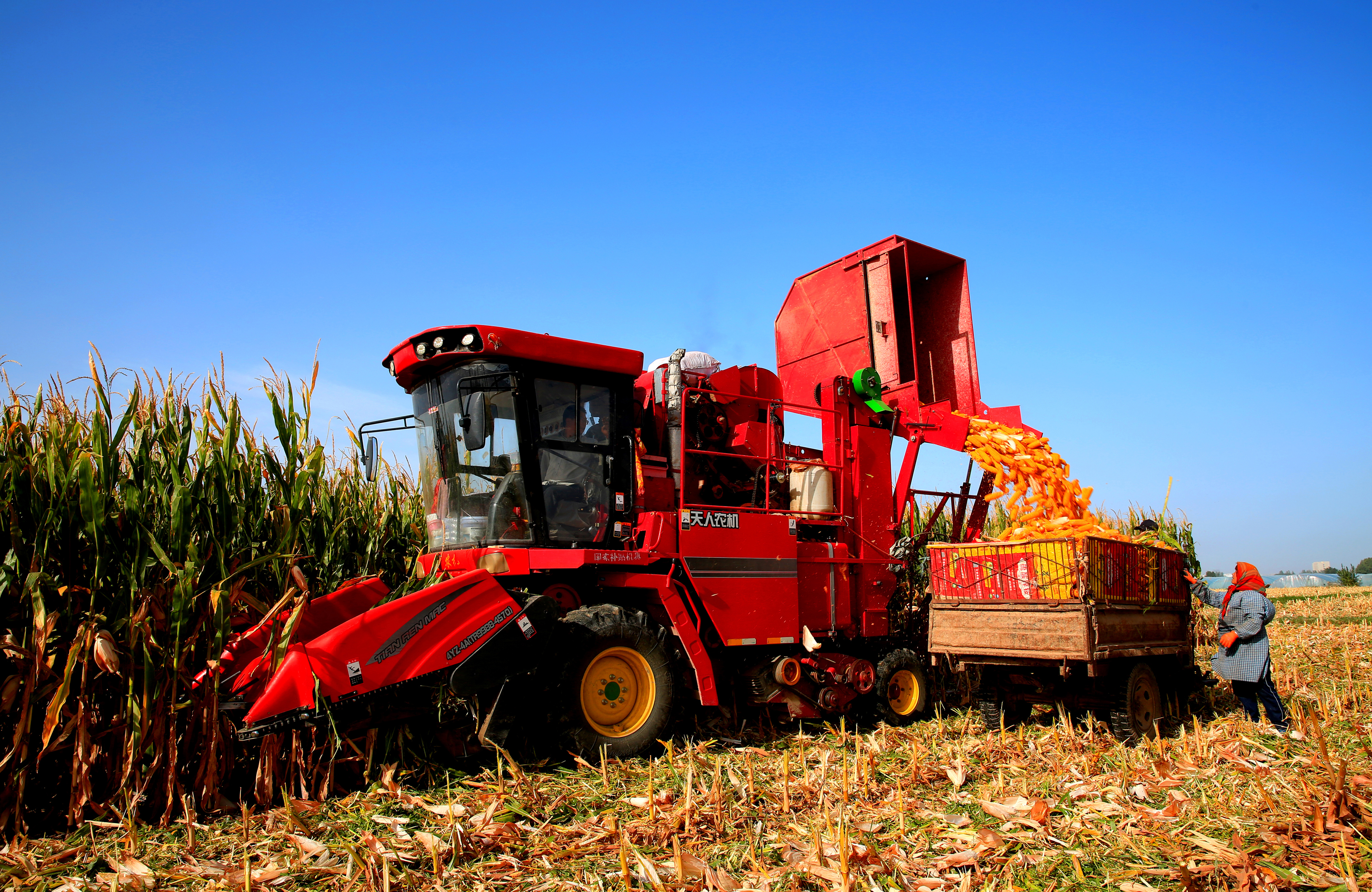 吉林省图们市创新粮食产后服务体系，助力农业提质增效与农民增收