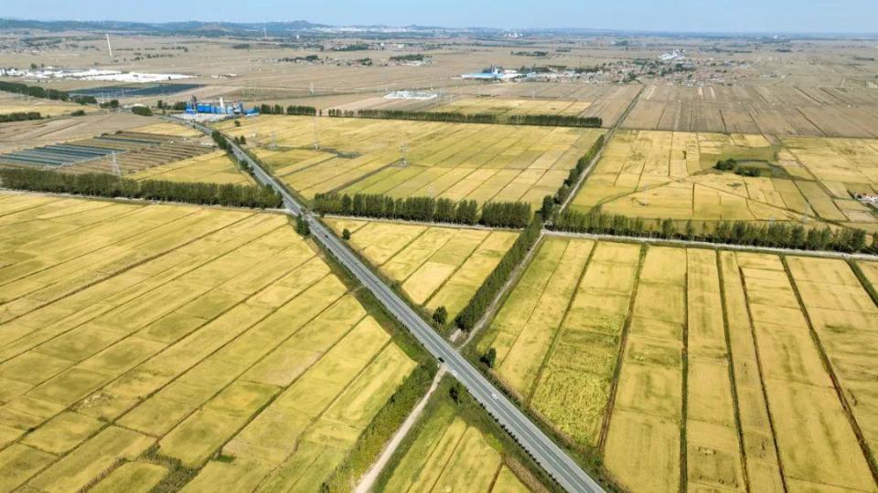 铁岭高标准农田建设进行时：黑土地“强筋骨” 筑牢粮食安全“压舱石”