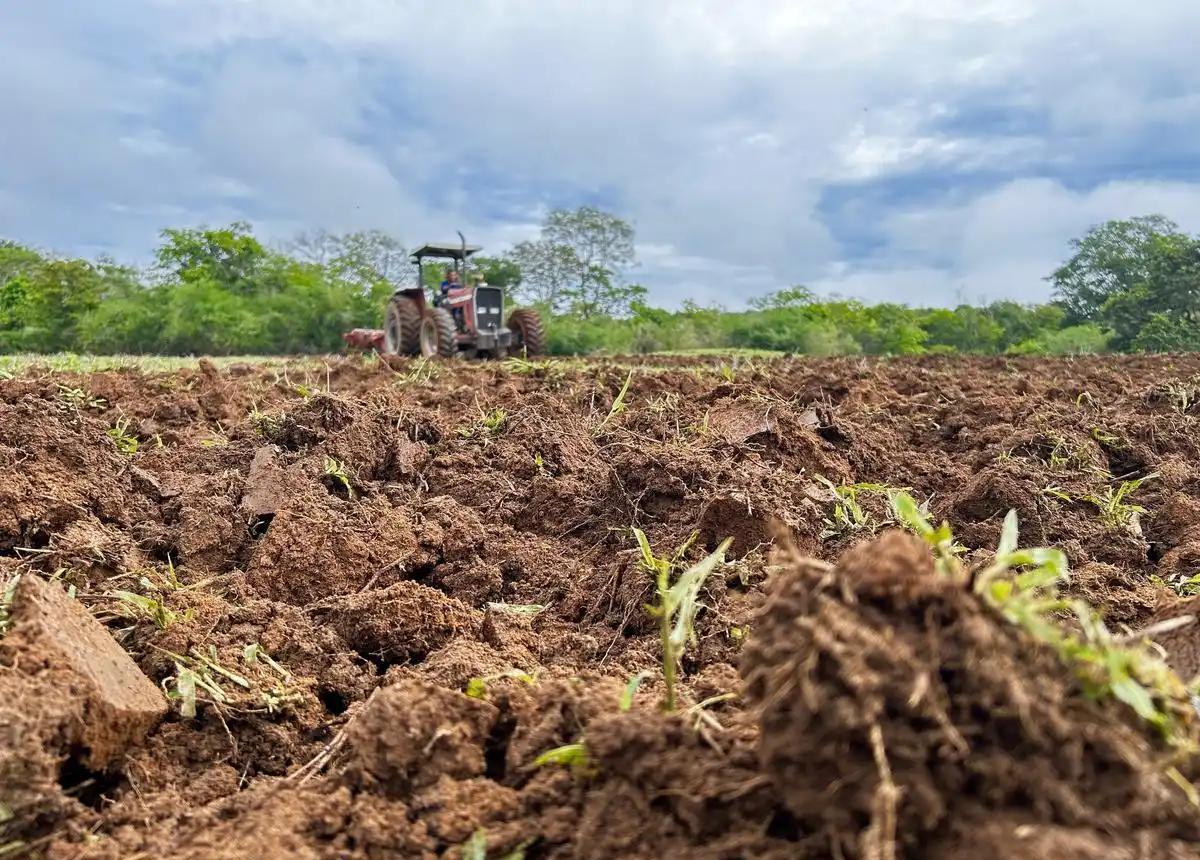 农村土地承包再延三十年试点扩大，农民吃下长效“定心丸”