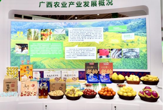 粤桂携手,百色好物香飘大湾区