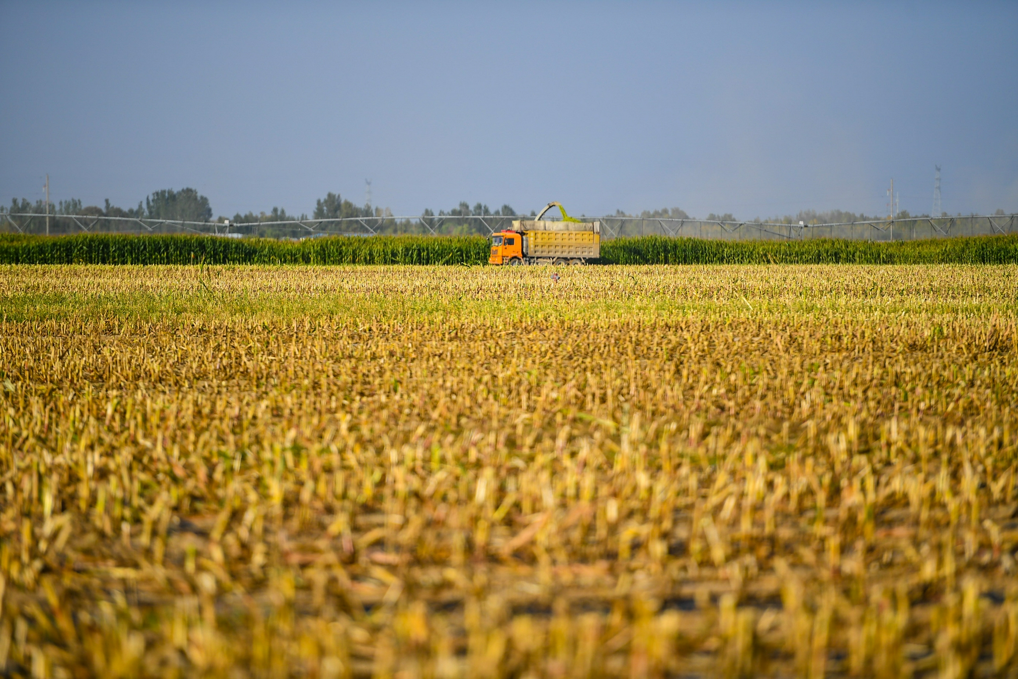 黑龙江多措并举推动粮食产业提质增效，粮食生产实现“种、储、销”全链条升级