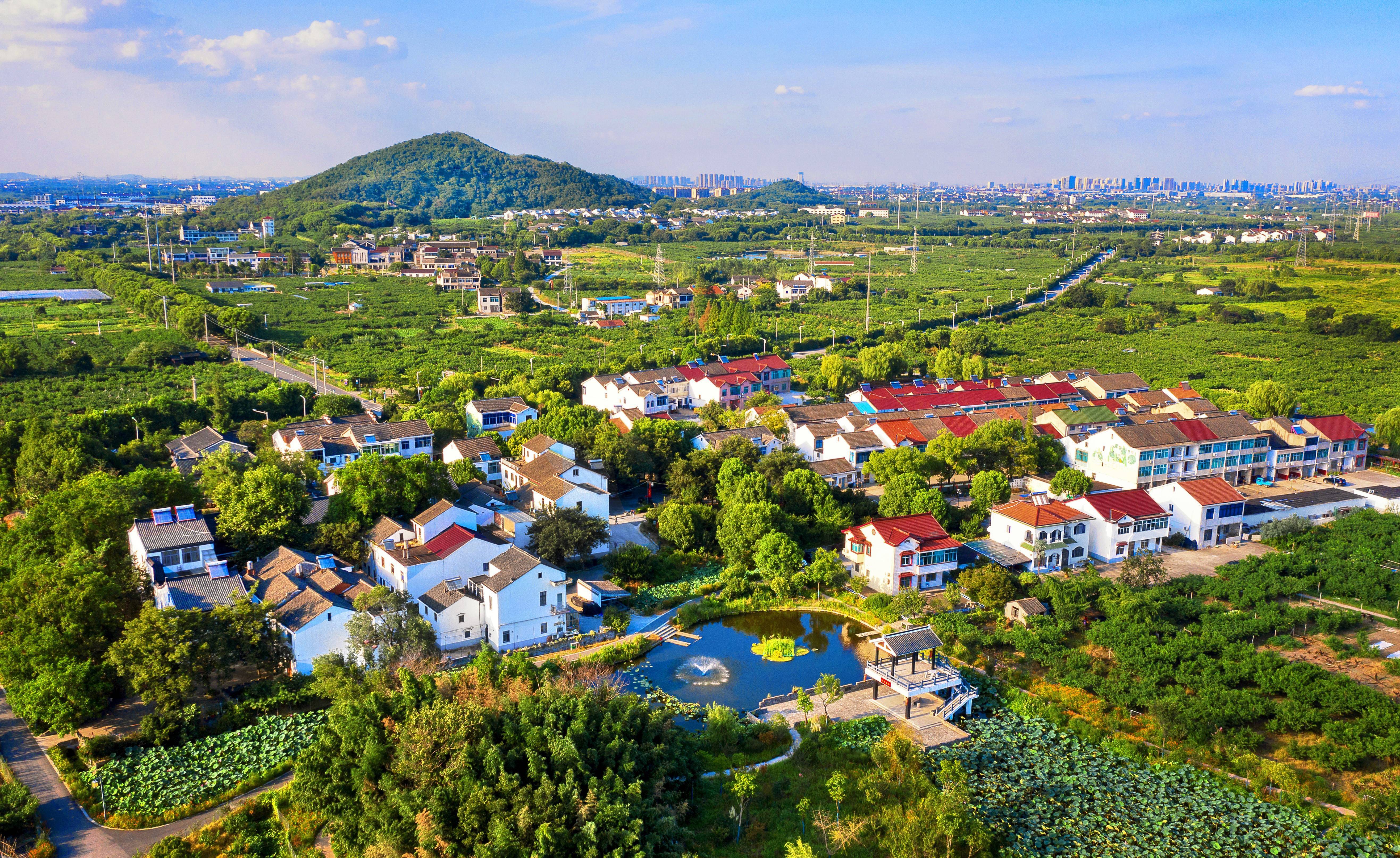 我国多措并举发展乡村特色产业，推动乡村振兴与农民增收双赢