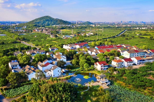 2025乡村振兴大会郑州开幕在即,这些亮点值得关注