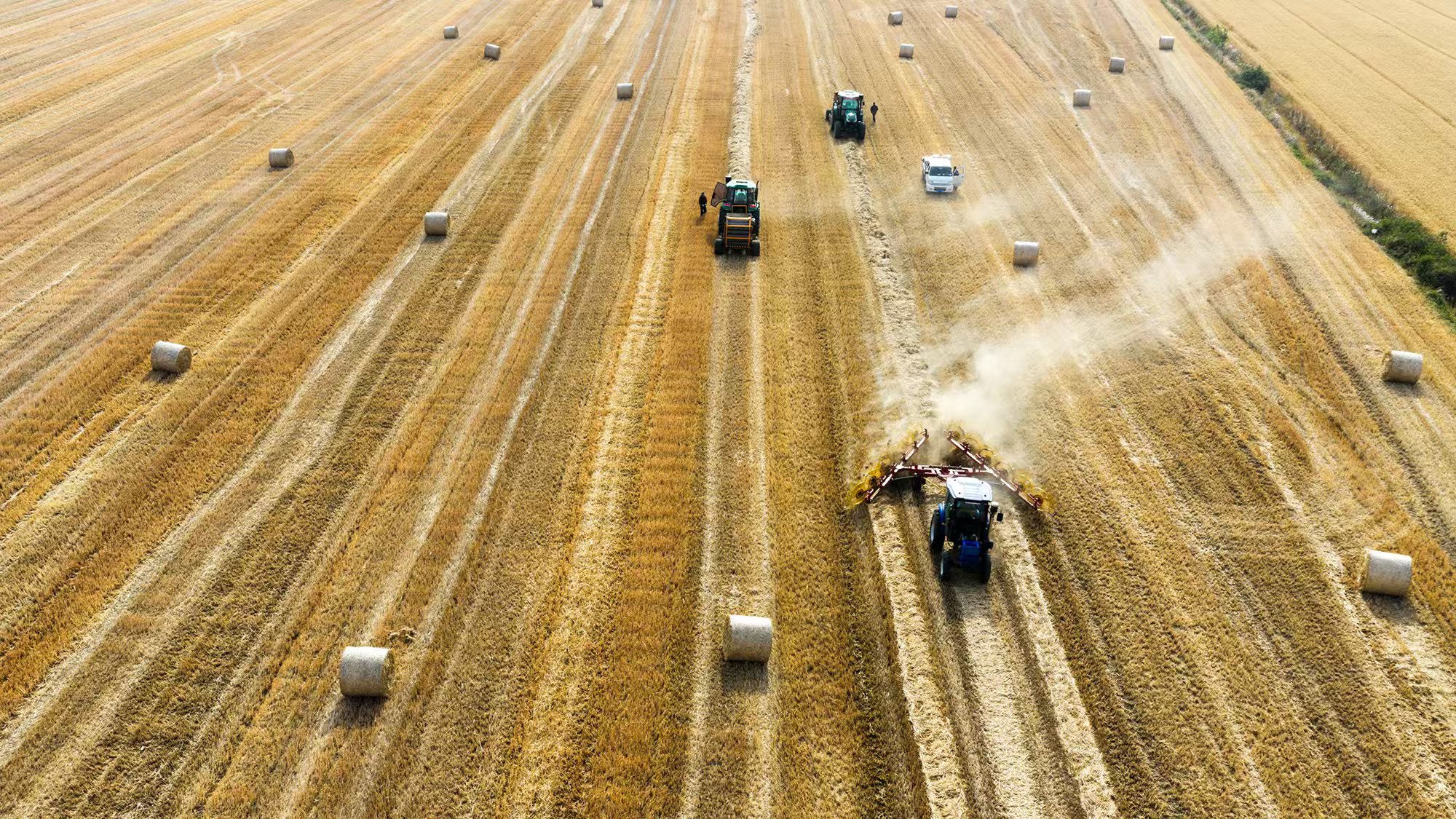 秸秆“变形记”：从绿色烦恼到金色宝藏