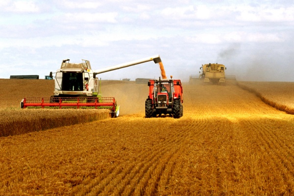 前三季度:农业农村经济稳健前行,绘就发展新画卷