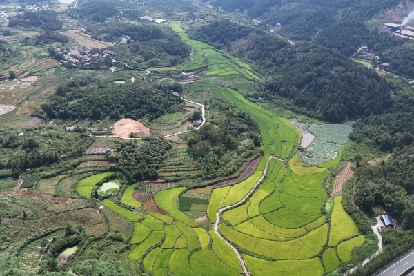 南方农业好在哪？这五大优势很实在