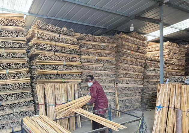 一把斑竹剑撬动全球25%份额：秦巴山沟里的“小众冠军”炼成记