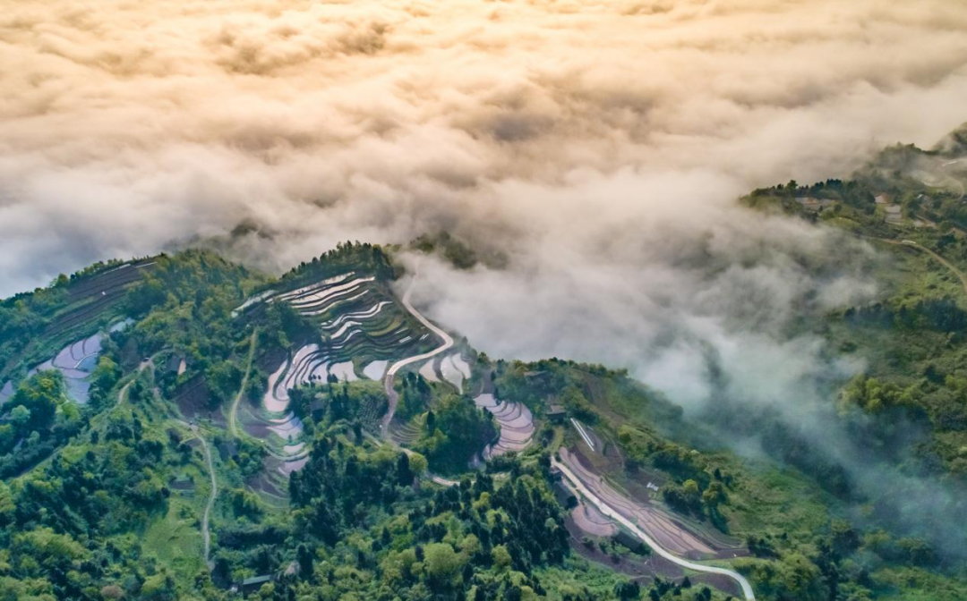 重庆“十四五”乡村振兴答卷：特色产业增值20倍，农民收入增长35.8%