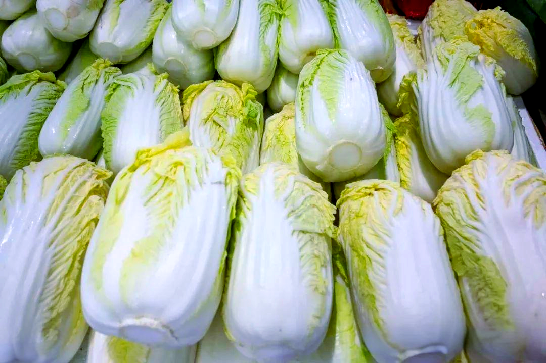 冬天怎么储存白菜?这三种储存方法让白菜吃到开春