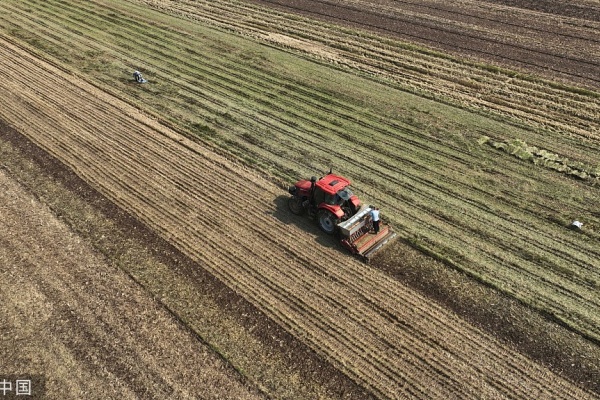 连续阴雨阴雨耽误小麦播种怎么办？有什么解决办法？