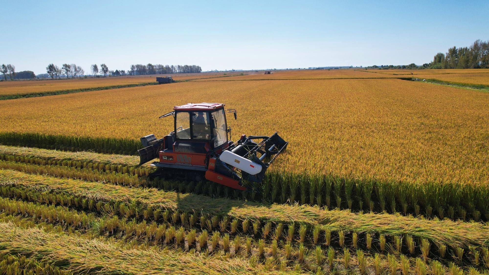 夯实大国粮仓 筑牢民生根基——强农惠农富农政策护航农业农村现代化