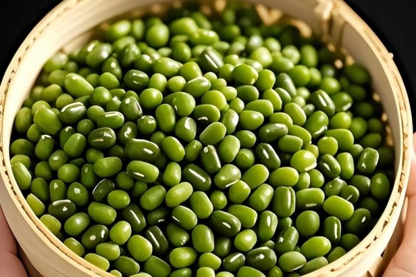 2025年绿豆种植技术与市场分析，把握行情增收有门道
