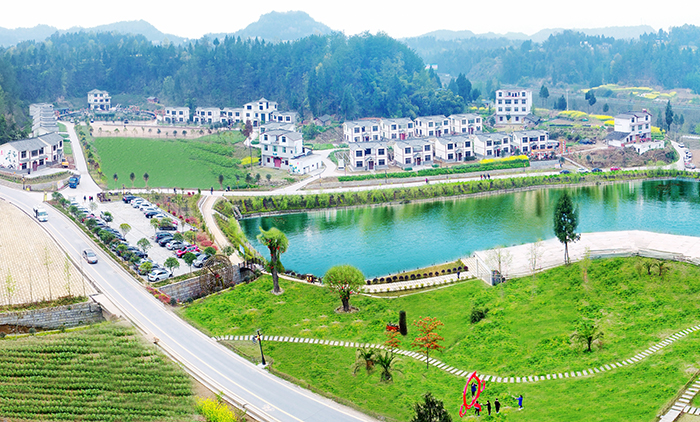 封开万寿村:“光伏+砂糖桔”绘就振兴新画卷