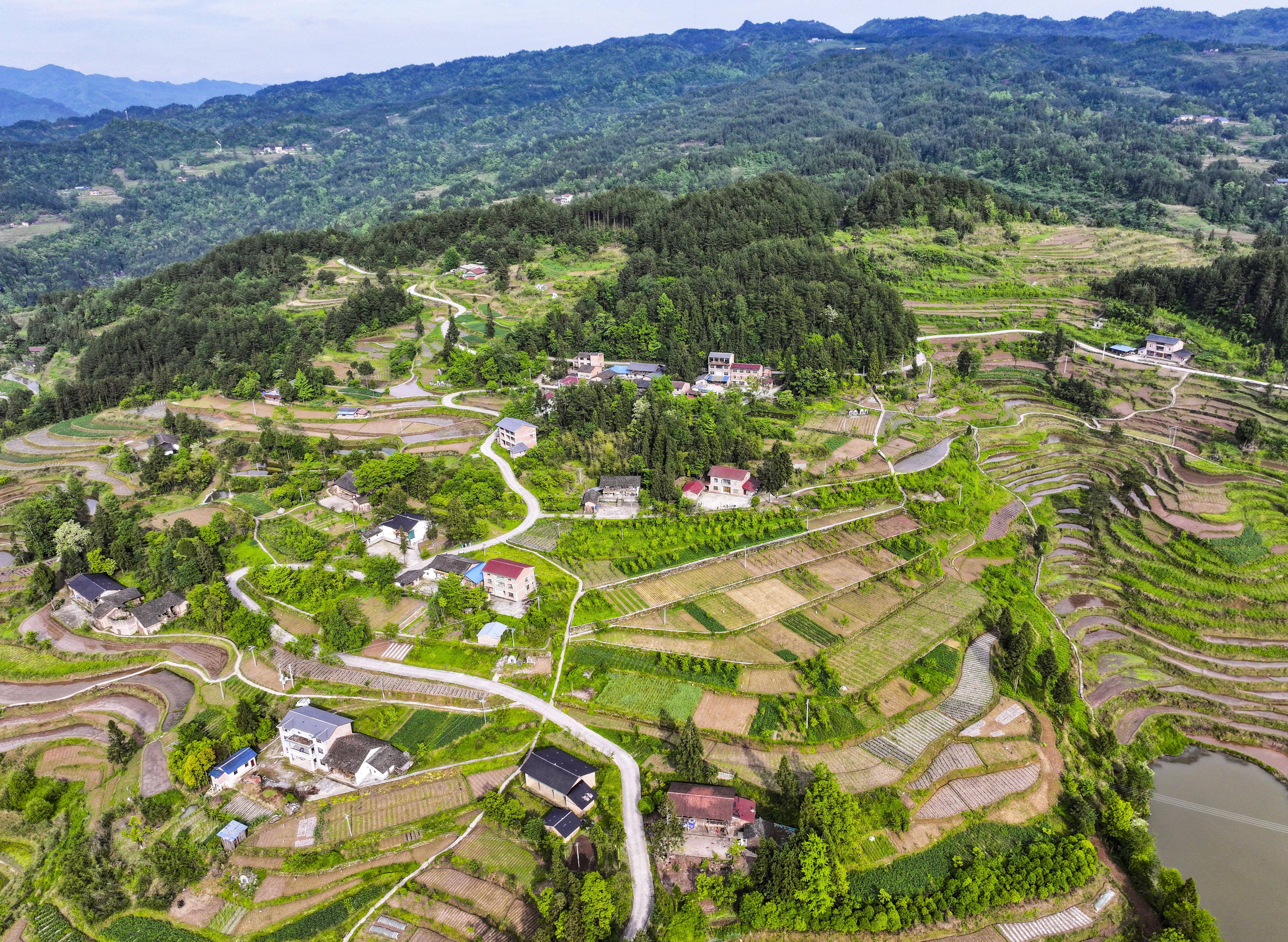 前三季度重庆农村居民收入增长,城乡差距再缩小