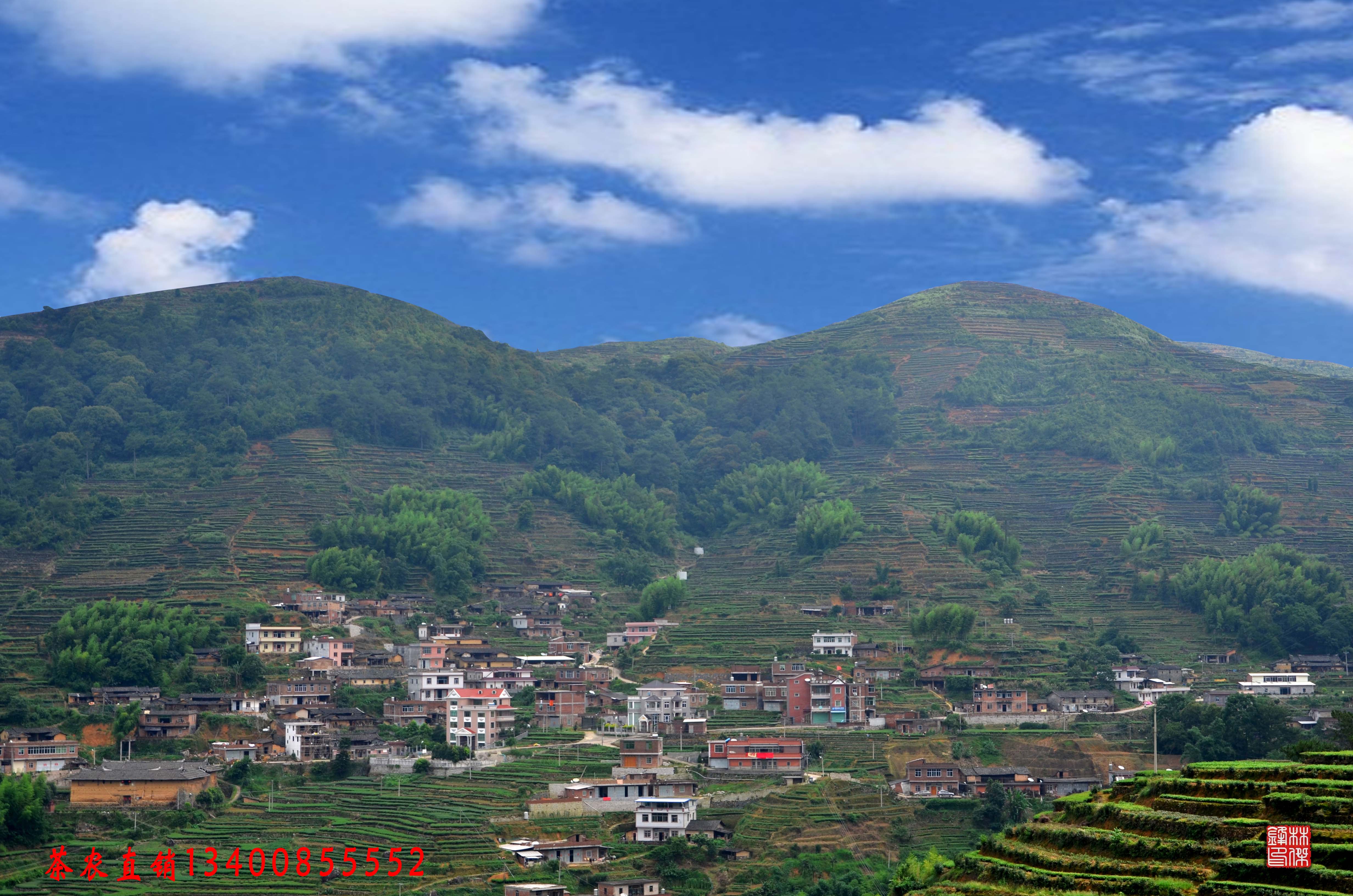 丽水云和县文化特派员实践探索：以文化赋能推动乡村全面振兴新路径