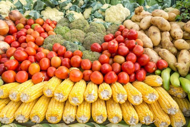 农村致富有哪些门路？这四条农村致富经，条条都通罗马