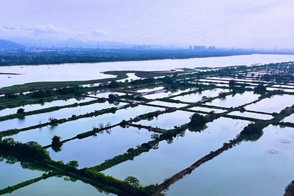 承包鱼塘怎么赚钱？这九点一定要做好