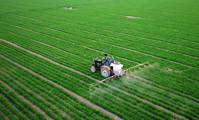农业农村部：全国冬小麦播种进度超95% 多措并举夯实夏粮丰收基础
