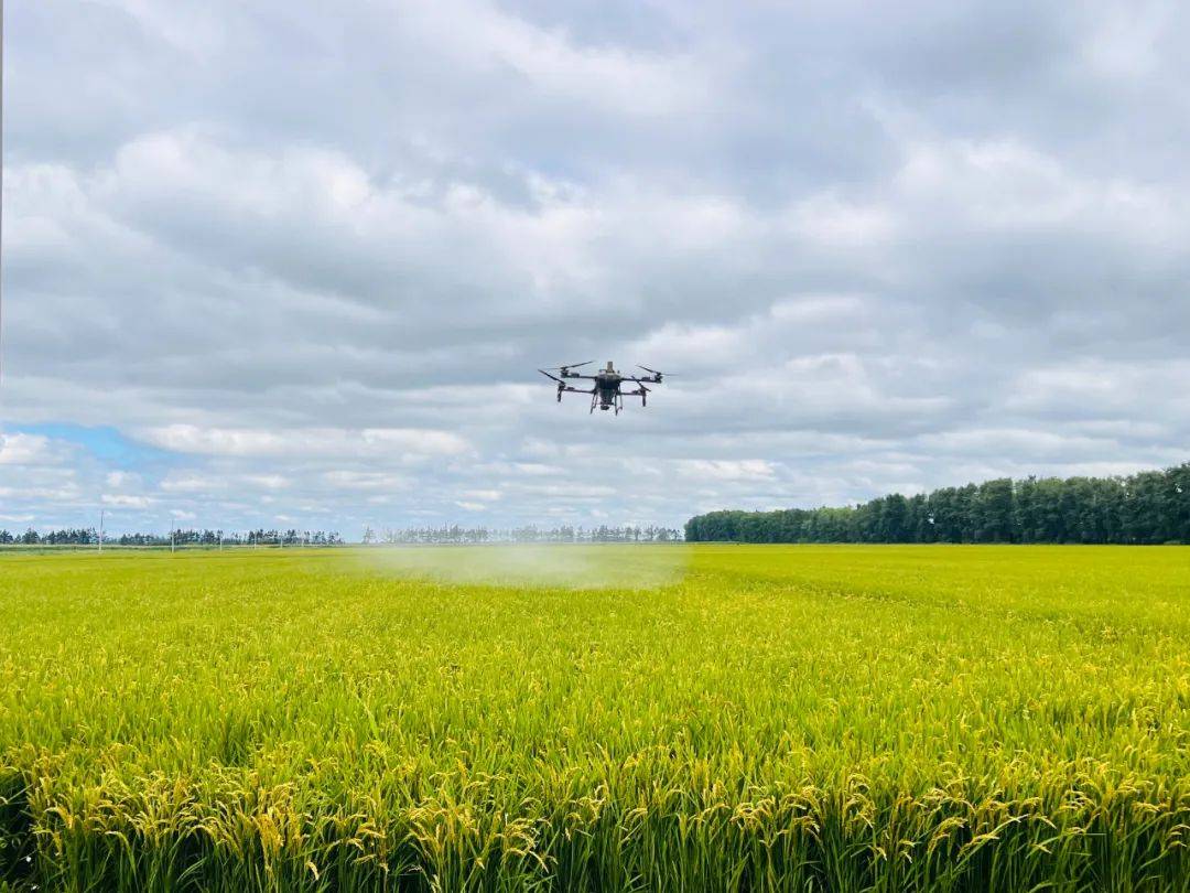 浙江：小耕地大作为，科技赋能粮食“十连增”