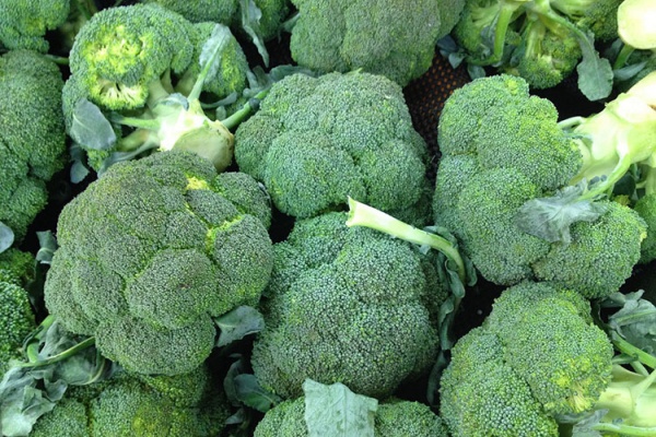 西兰花结球期怎么施肥？有什么施肥技巧？