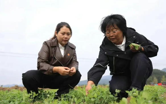 跟岗取经激活黔南:602名村支书带回的振兴密码