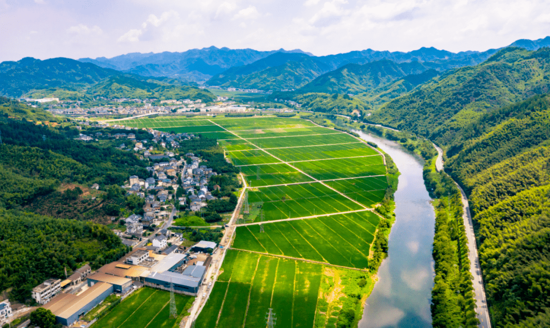 浙江“三农”发展成果显著：农村集体资产破万亿，农民收入连续40年居全国首位