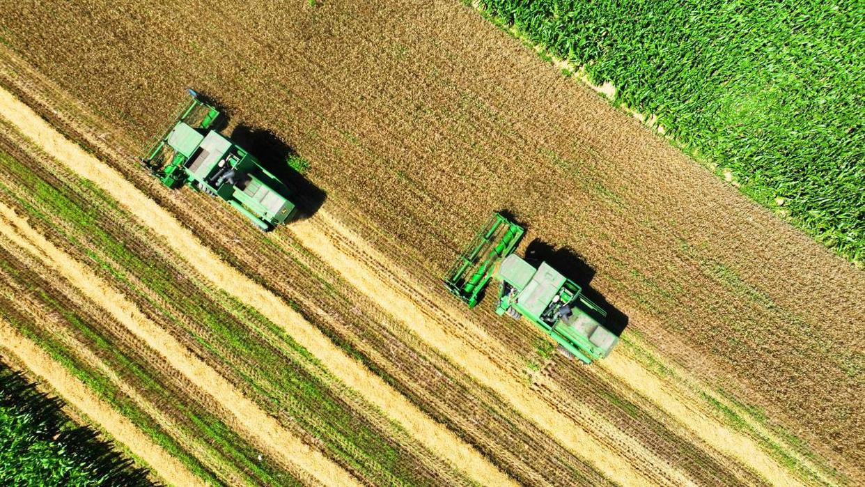 “十四五”辽北粮仓答卷：铁岭高标准农田建设带动全域丰收