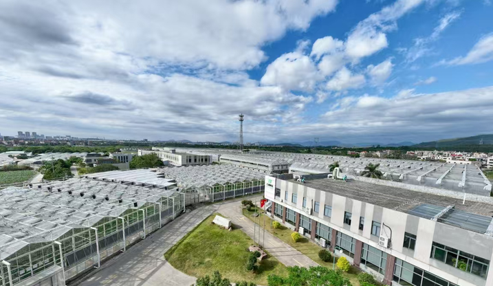 厦门同安“种业硅谷”崛起：台农如何用一粒种子撬动中国农业芯