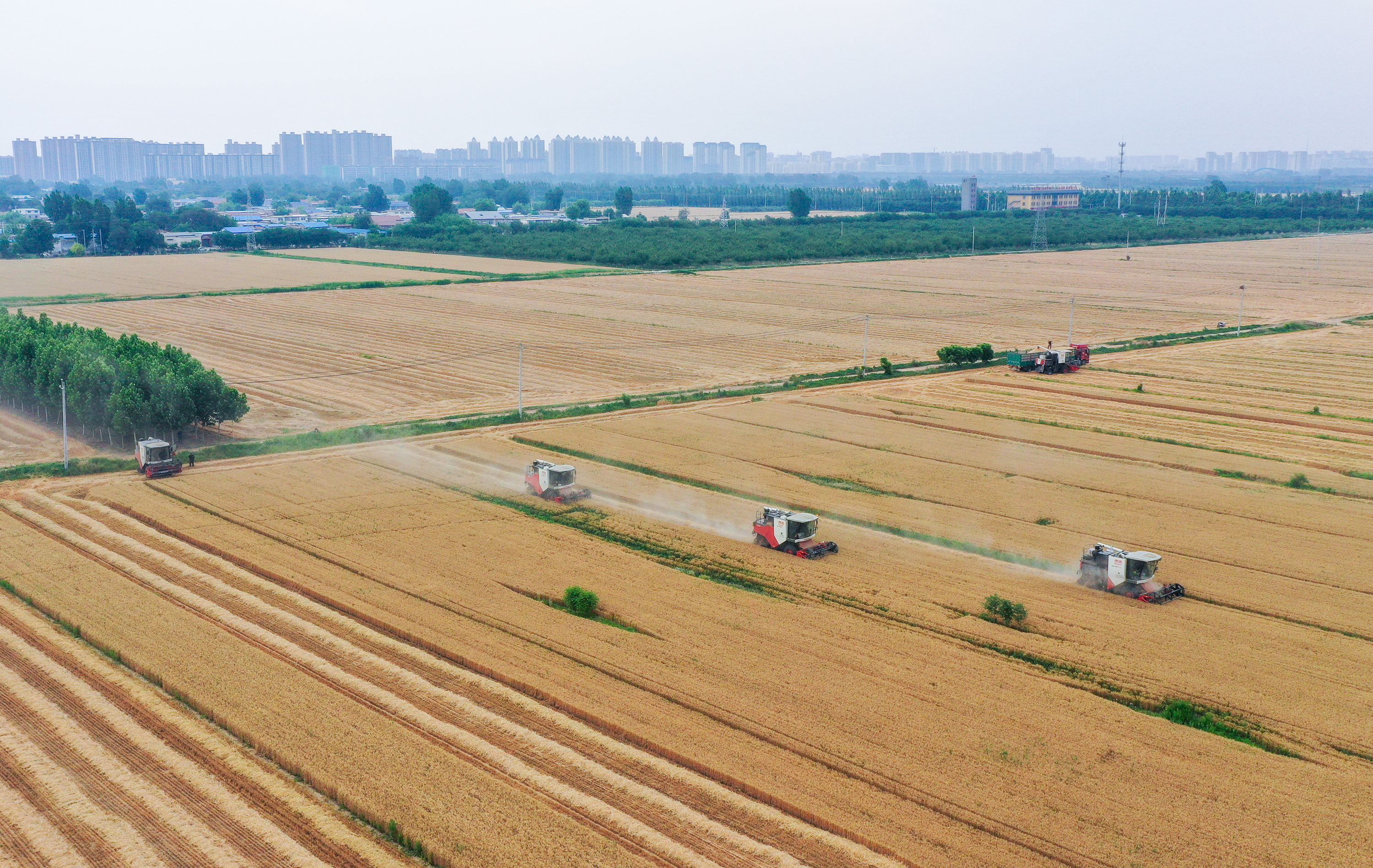 “十四五”以来,河北农业农村发展成果丰硕